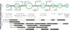 LMN’s Sustainable Design Framework