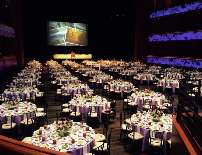 Tobin Center for the Performing Arts - Interior