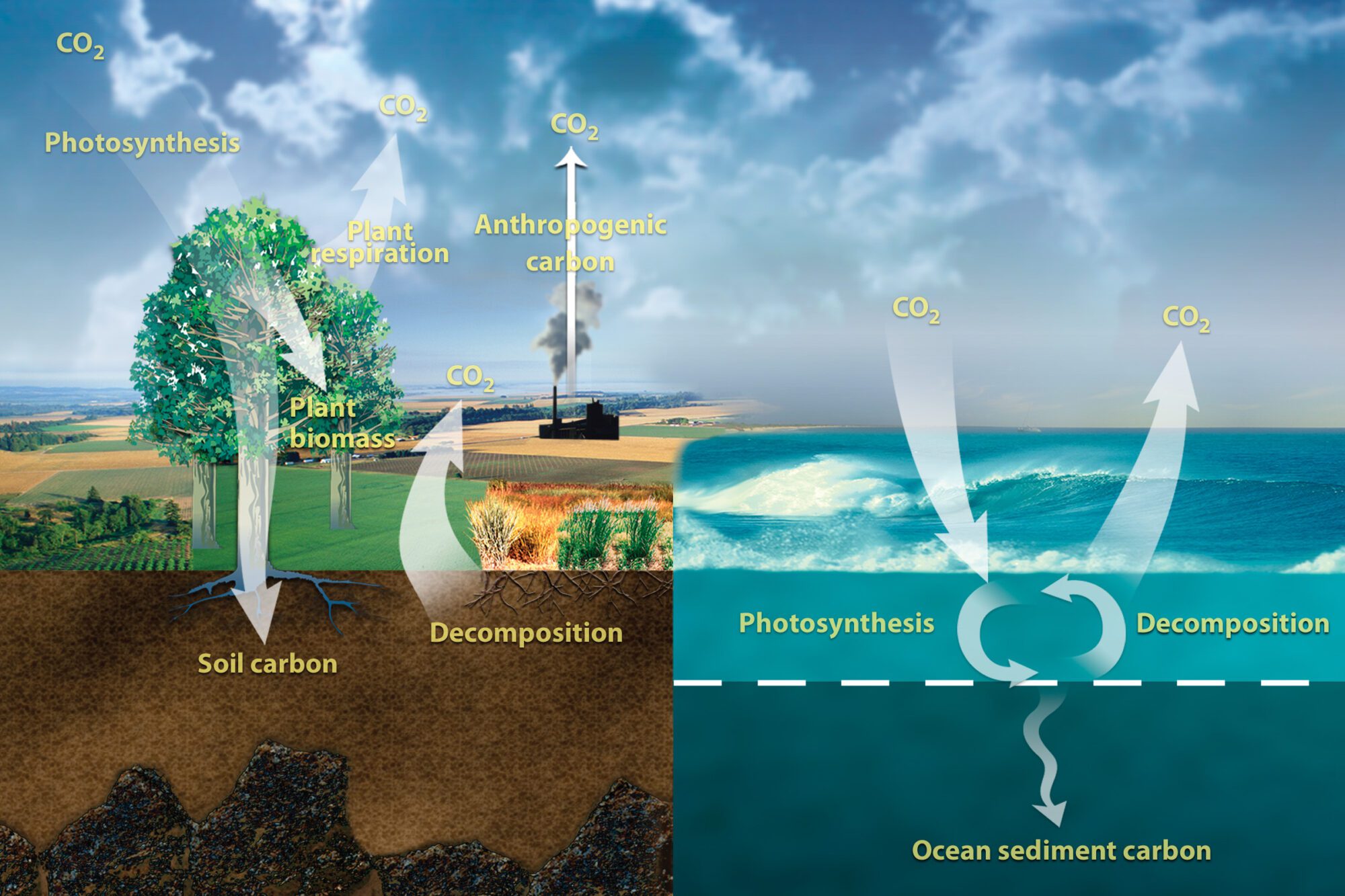 04 – The Science of Global Warming - LMN Architects