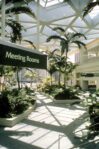 Hawaii Convention Center - Interior