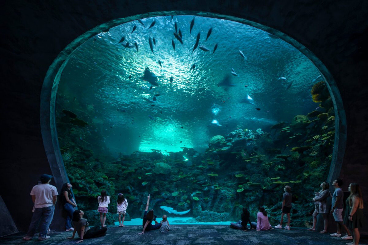 LMN_Seattle-Aquarium-Ocean-Pavilion_04