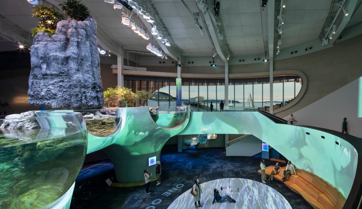 LMN_Seattle-Aquarium-Ocean-Pavilion_08