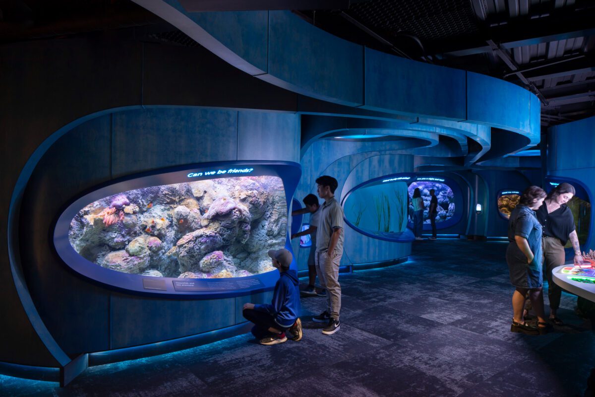 LMN_Seattle-Aquarium-Ocean-Pavilion_12