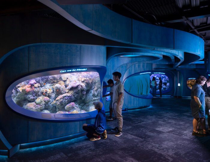 LMN_Seattle-Aquarium-Ocean-Pavilion_12