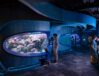 LMN_Seattle-Aquarium-Ocean-Pavilion_12