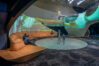 LMN_Seattle-Aquarium-Ocean-Pavilion_CC