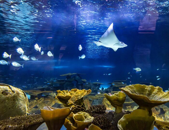 LMN_Seattle-Aquarium-Ocean-Pavilion_HH