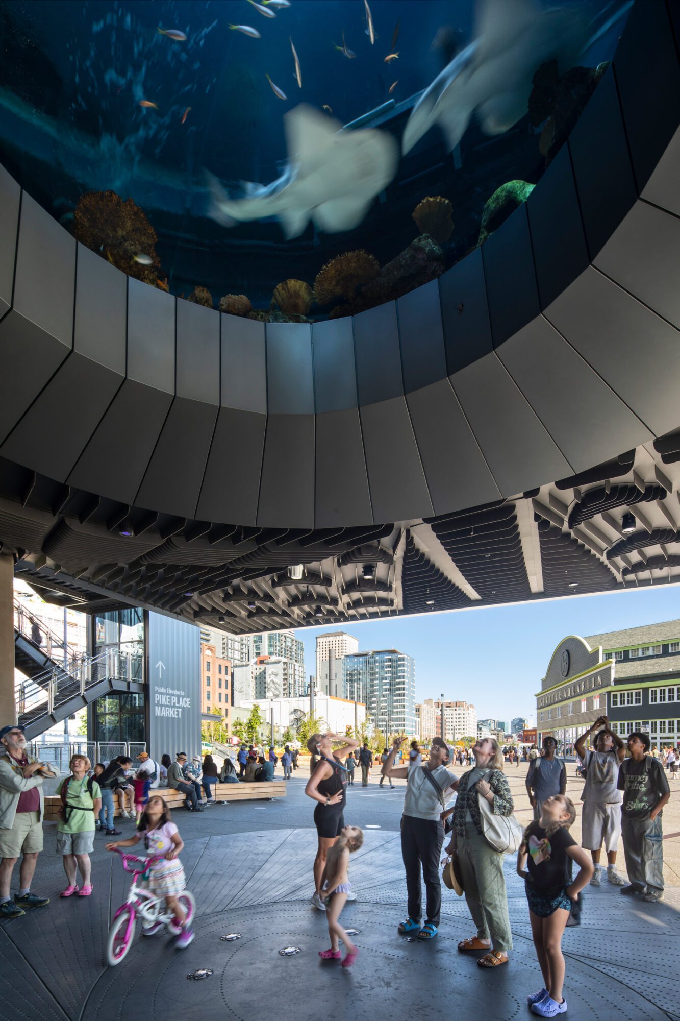 Seattle-Aquarium-Ocean-Pavilion_N151