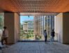 Stanford-University-CoDa_N81