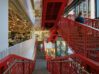 Stanford-University-CoDa_N85