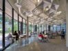 Stanford-University-CoDa_N89