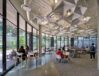 Stanford-University-CoDa_N89