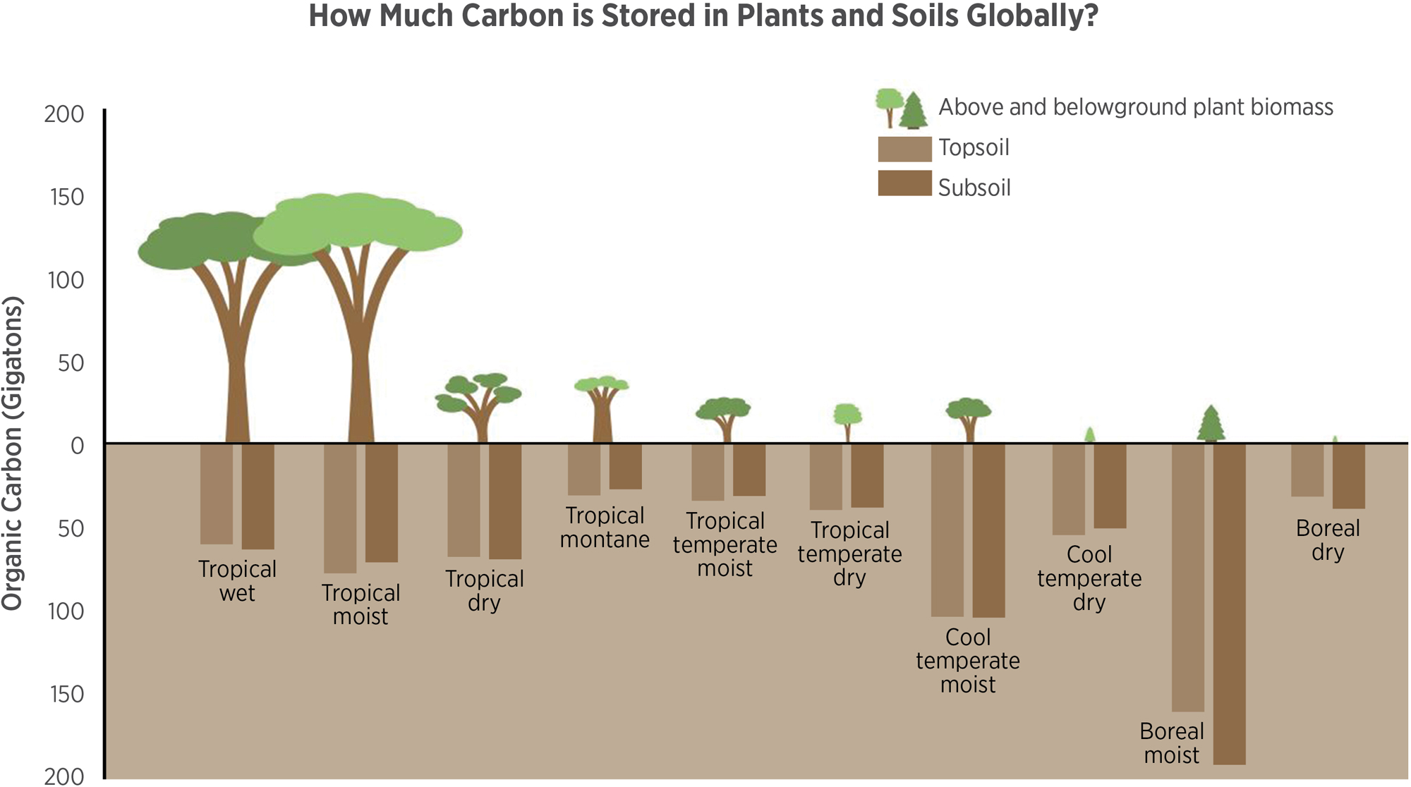 LMN_CarbonStoredinPlantsandSoils